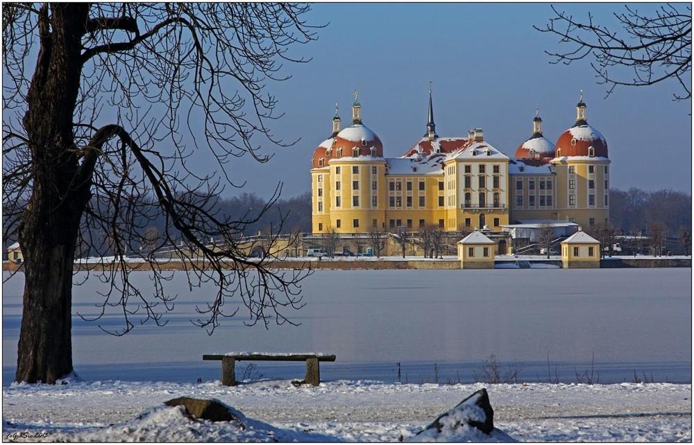 Gartenhaus Klotzsche เดรสเดน ภายนอก รูปภาพ