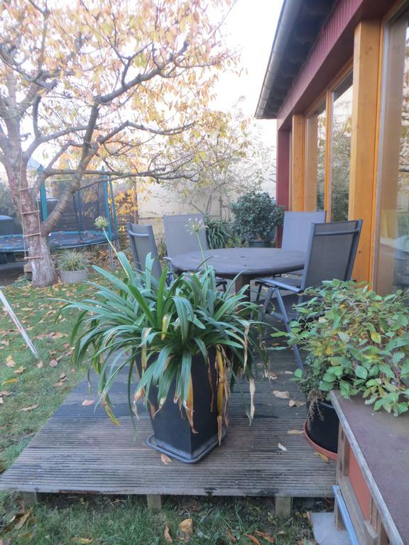 Gartenhaus Klotzsche เดรสเดน ภายนอก รูปภาพ