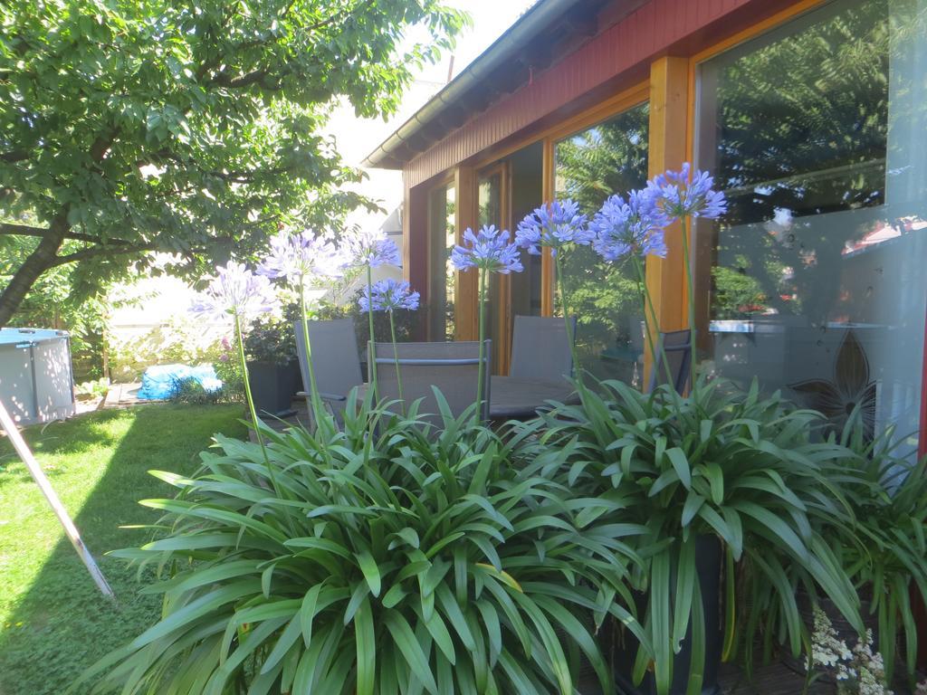 Gartenhaus Klotzsche เดรสเดน ภายนอก รูปภาพ