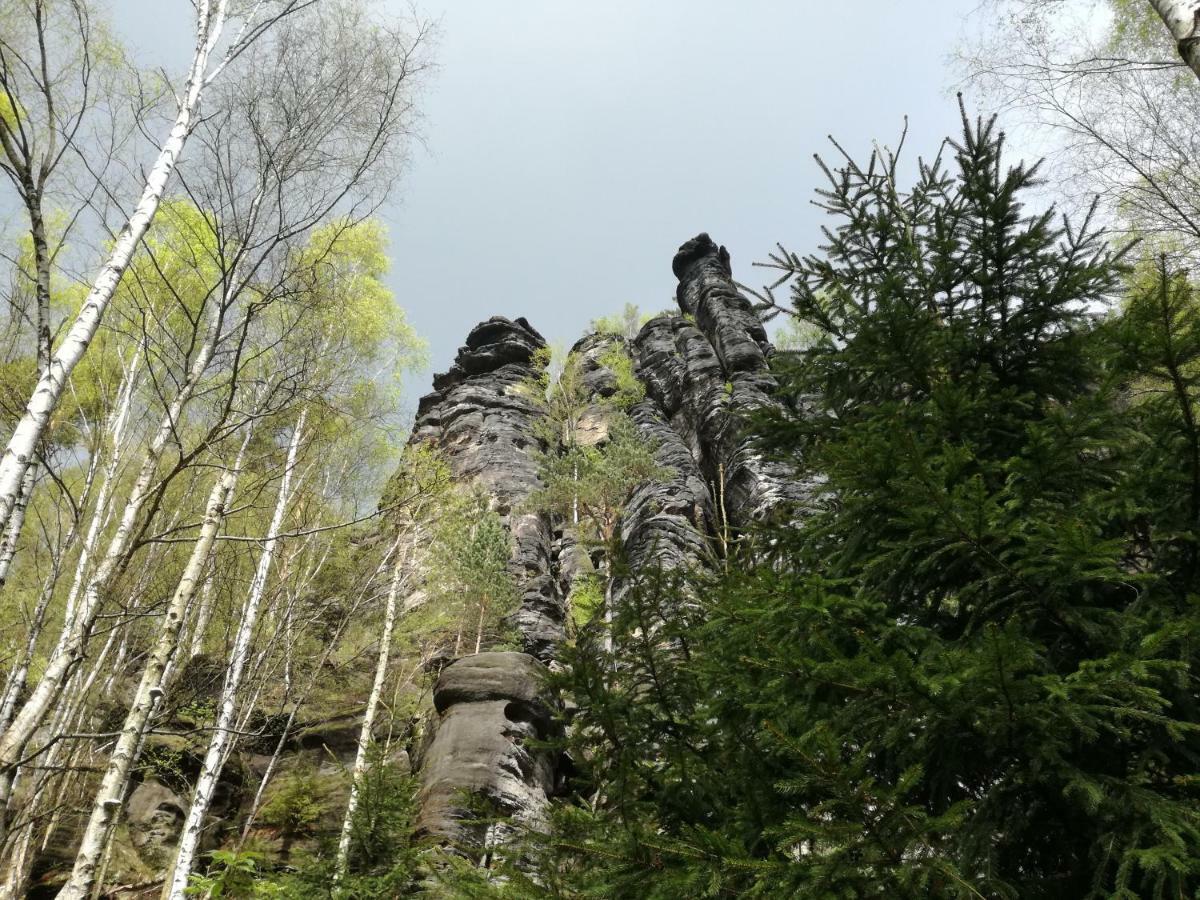 Gartenhaus Klotzsche เดรสเดน ภายนอก รูปภาพ